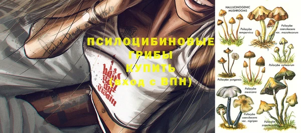 круглые Алексеевка